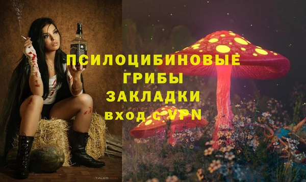 соль курить ск Бородино