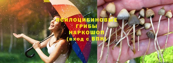 марихуана Беломорск