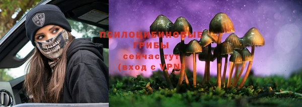 амф Белоозёрский