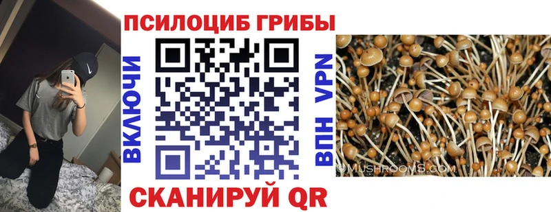 Псилоцибиновые грибы мухоморы Меленки